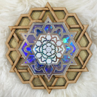 "The Compact Disc Series" (2024) 170mm Diameter 