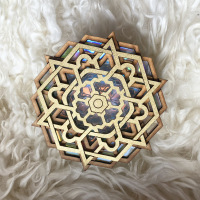 "The Compact Disc Series" (2024) 115mm Diameter 