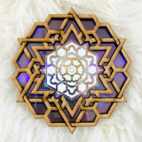 "The Compact Disc Series" 2 (2024) 115mm Diameter 